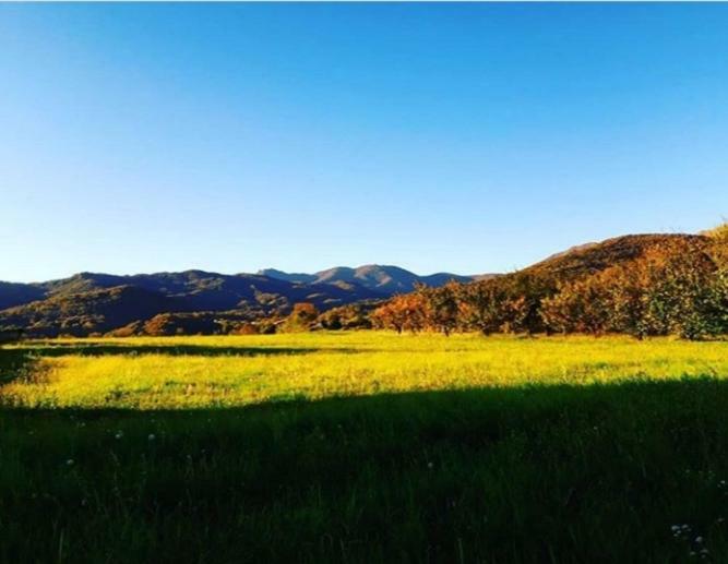 Casetta Gialla Giaveno エクステリア 写真
